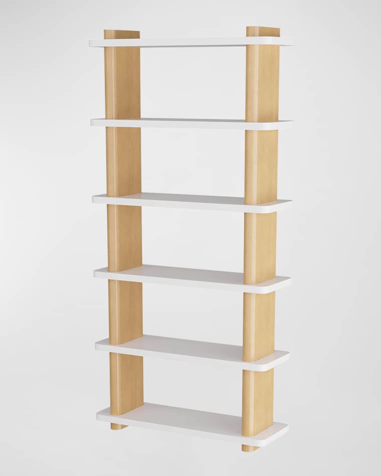 Arteriors Triton Bookshelf