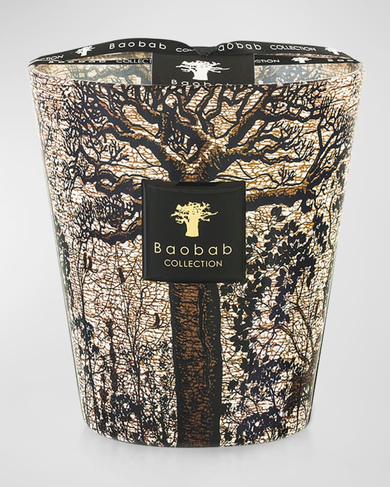 Baobab Collection Sacred Trees Morondo 4-Wick Max16 Candle, 77.6 oz.