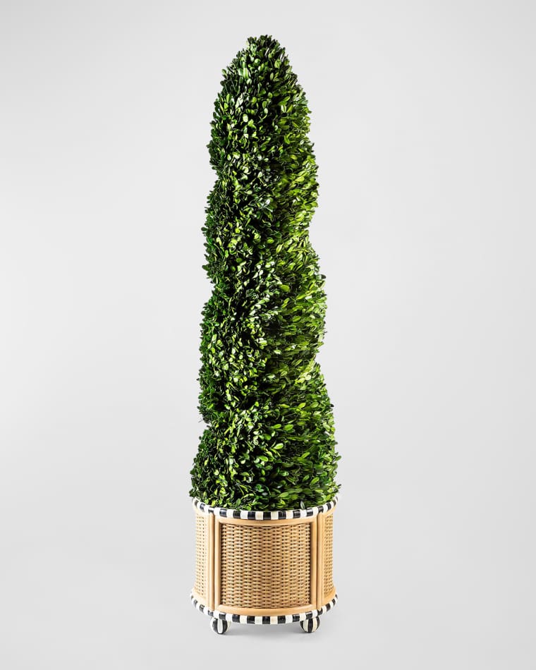 MacKenzie-Childs Large Preserved Spiral Boxwood Topiary in Basketweave Base - 55"