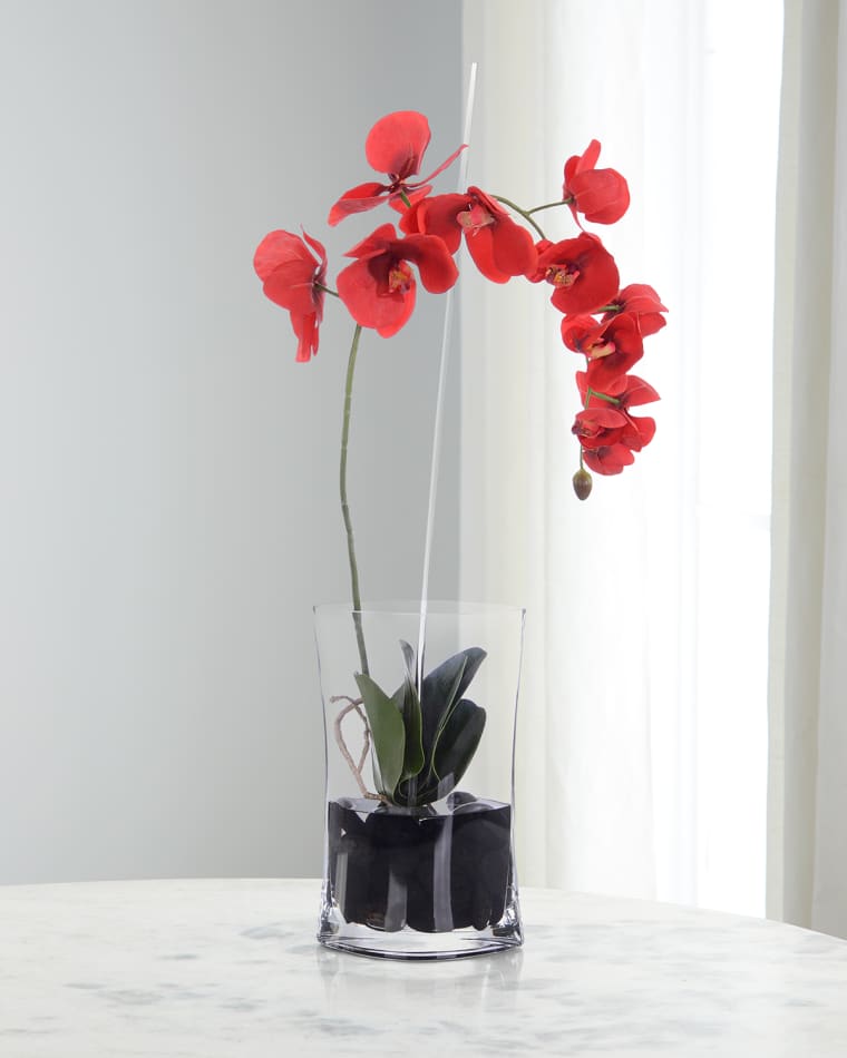John-Richard Collection Real Touch Red Jubilee Phalaenopsis Orchids 28" Faux Floral Arrangement in Glass Vase