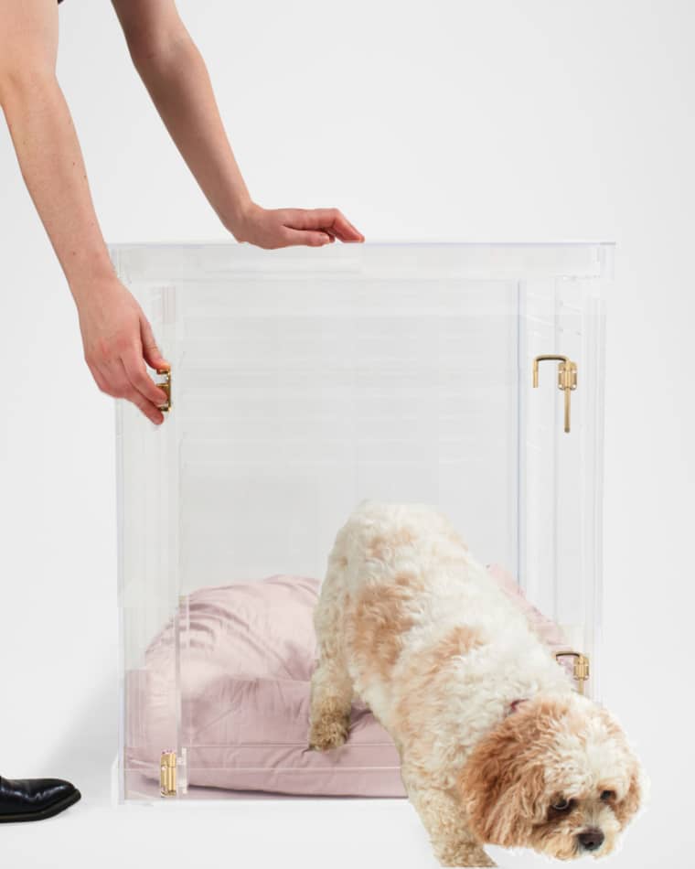 HIDDIN Medium Clear View Pet Crate with Golden Latch