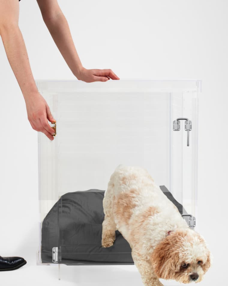 HIDDIN Medium Clear View Pet Crate with Silver Latch