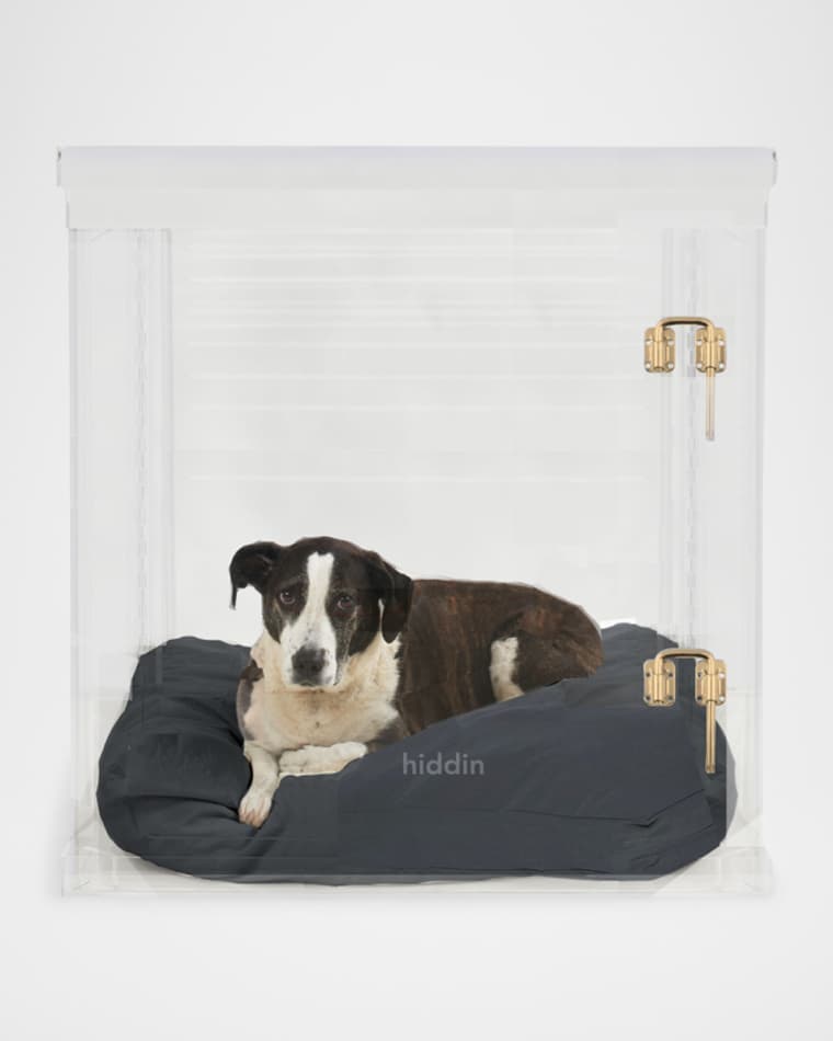 HIDDIN Large Clear View Pet Crate with Gold Latch