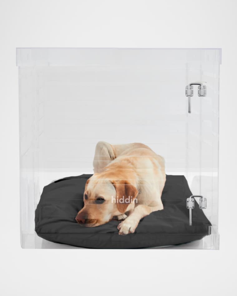 HIDDIN Large Clear View Pet Crate with Silver Latch