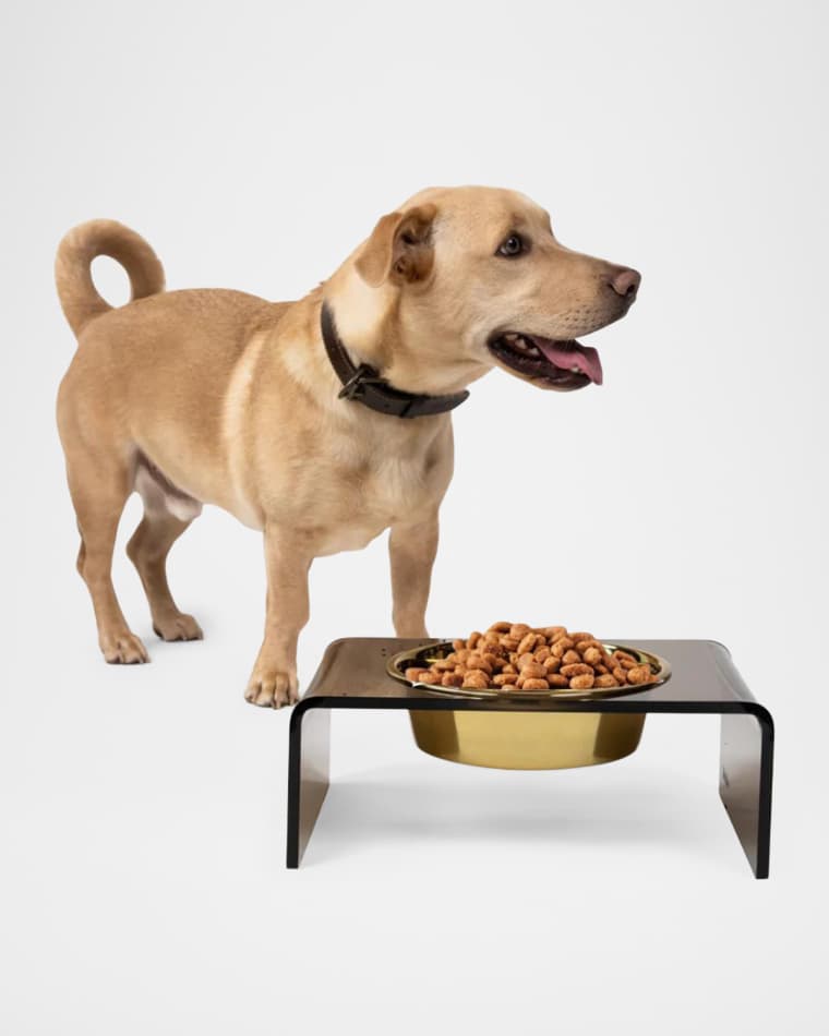 HIDDIN Bronze Single Bowl Pet Feeder, 2 Qt Golden Bowl