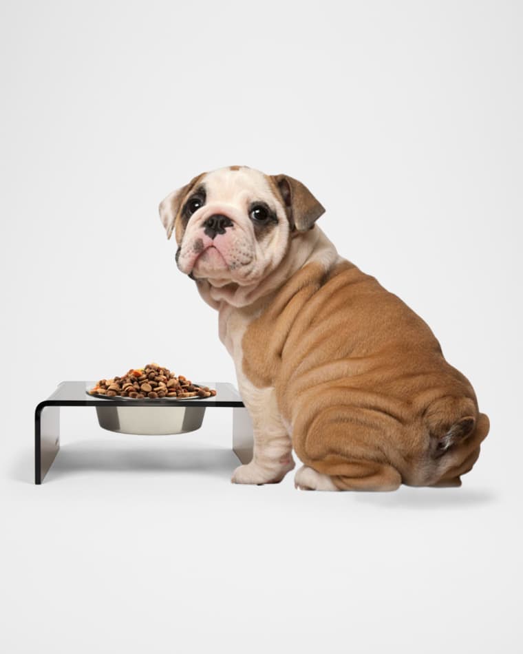HIDDIN Bronze Single Bowl Pet Feeder, 2 Qt Silver Bowl