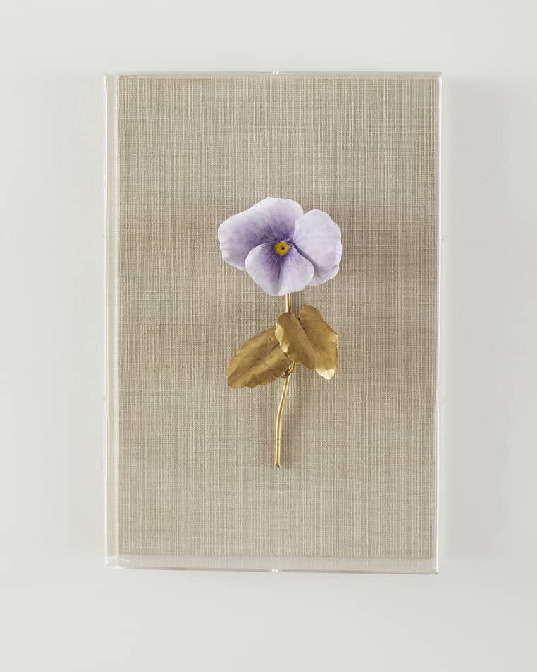 Tommy Mitchell "Pansy Study 4" Wall Art