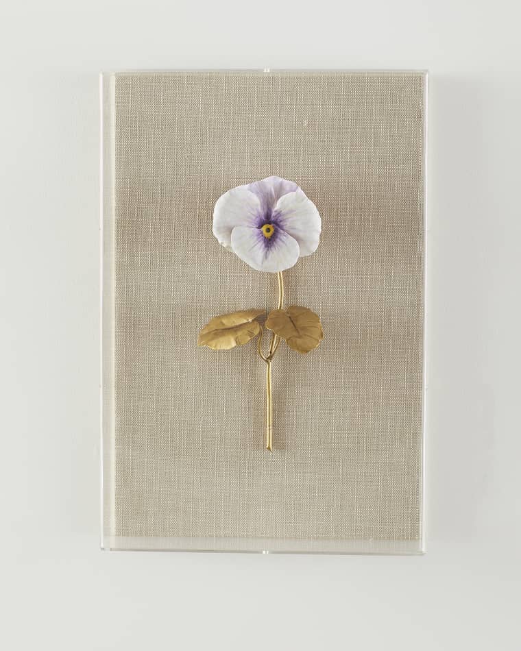 Tommy Mitchell "Pansy Study 6" Wall Art
