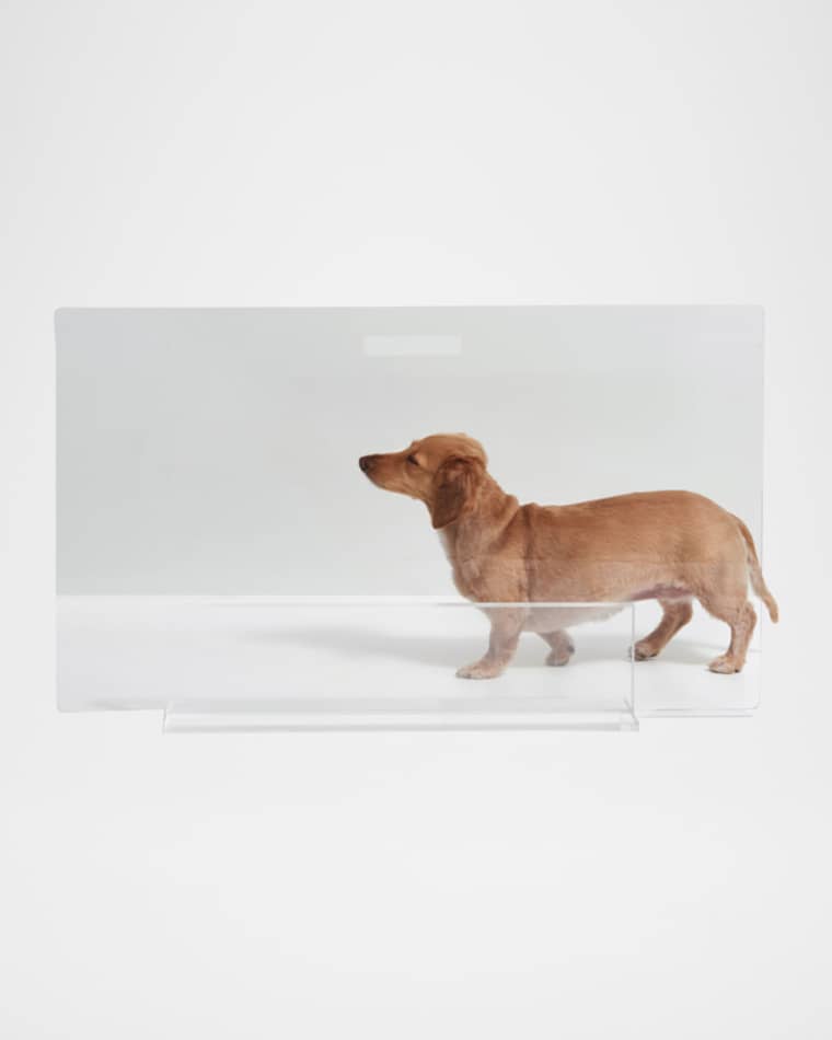HIDDIN Low Clear Pet Gate Panel, 32"