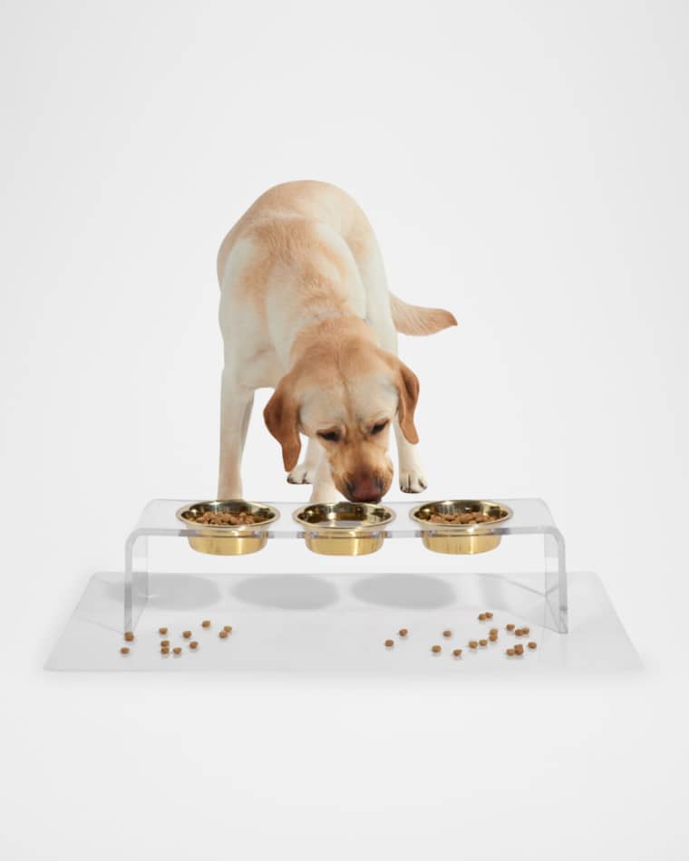 HIDDIN Medium Triple Bowl Pet Feeder, 1 Quart Golden Bowls
