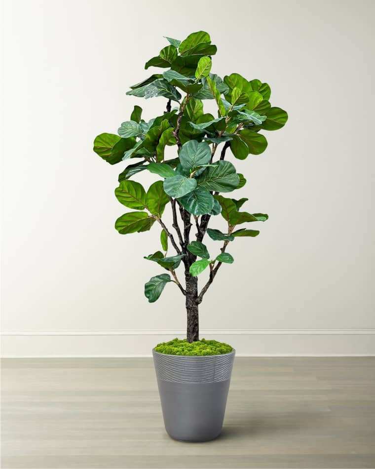 Winward Home Fiddle Leaf Tree in Planter, 96"