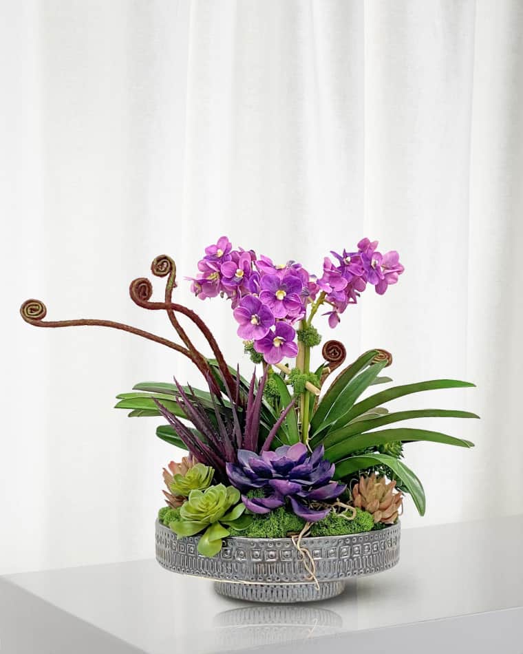 Winward Home Vanda Orchid Succulent 19" Faux Floral Arrangement in Terracotta Planter
