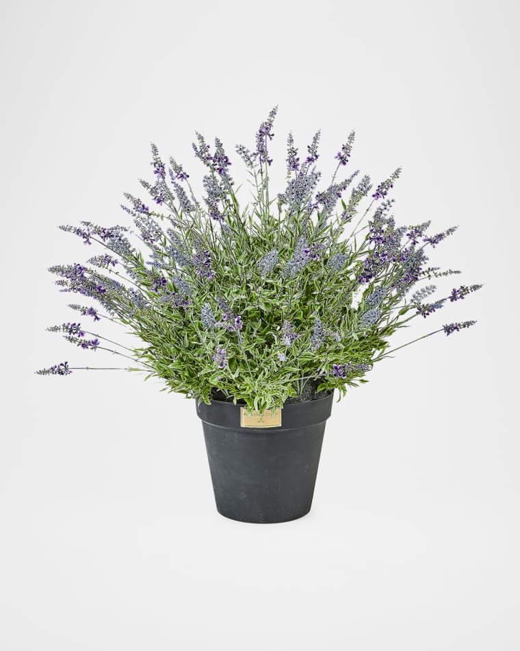MacKenzie-Childs Lavender Urn Filler