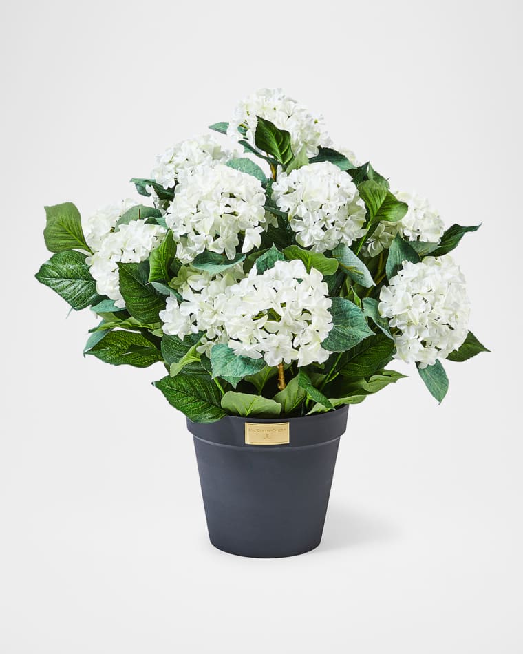 MacKenzie-Childs White Hydrangea Urn Filler