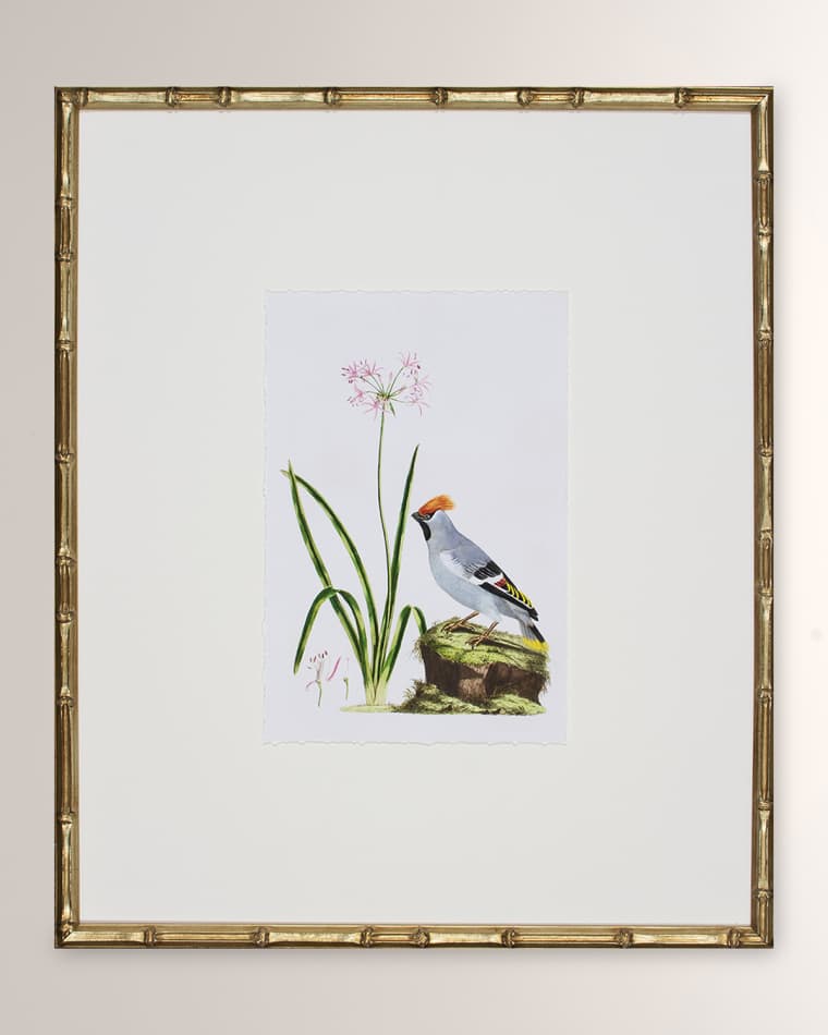 Shadow Catchers "Bird Habitat II" Framed Giclee