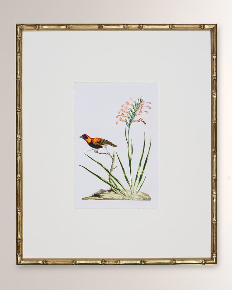 Shadow Catchers "Bird Habitat III" Framed Giclee