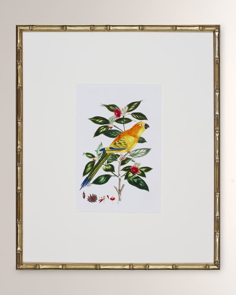 Shadow Catchers "Bird Habitat V" Framed Giclee
