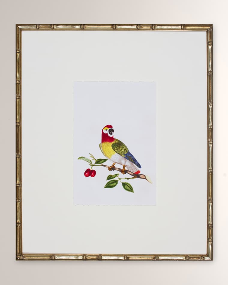 Shadow Catchers "Bird Habitat VI" Framed Giclee