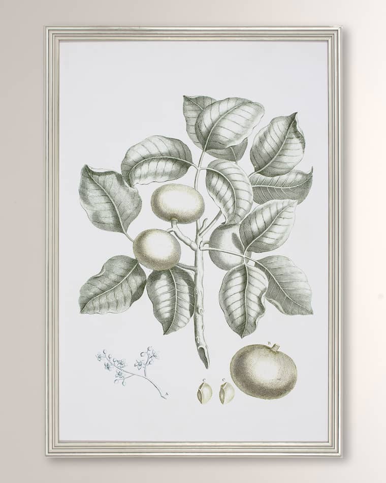 Shadow Catchers "Buchoz Tropical I" Framed Giclee