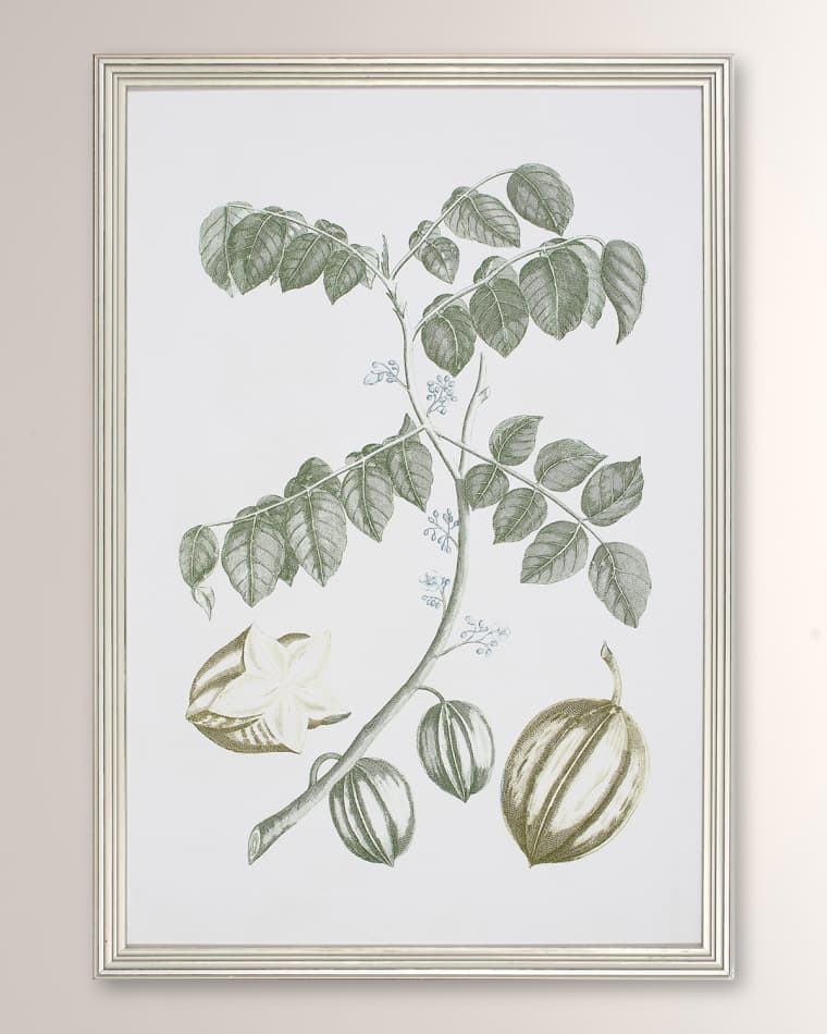 Shadow Catchers "Buchoz Tropical II" Framed Giclee