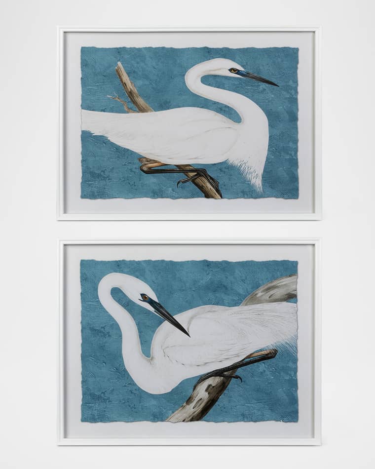 Park Hill Collections "Serene Swan" Framed Wall Art, Set of 2