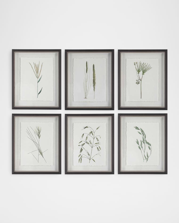 The Uttermost Co "Forest Finds" Framed Botanical Prints, Set of 6
