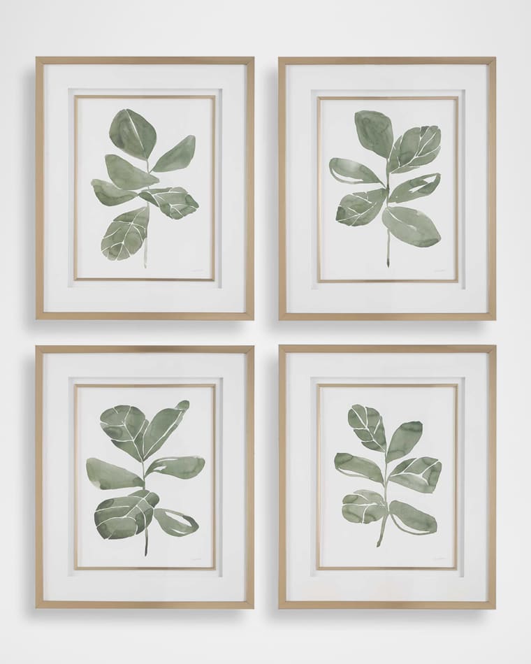 The Uttermost Co "Fiddle Head Leaf" Framed Botanical Prints by Haley Knighten, Set of 4