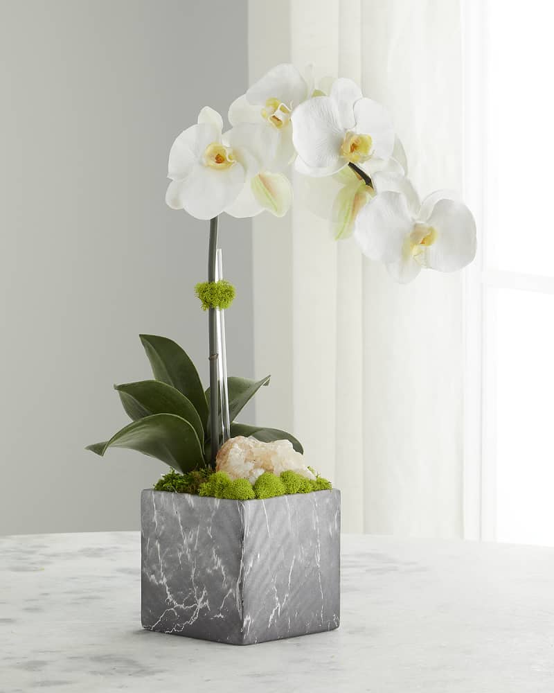 Fuchsia Orchid Plant with Accents in Marble Vase