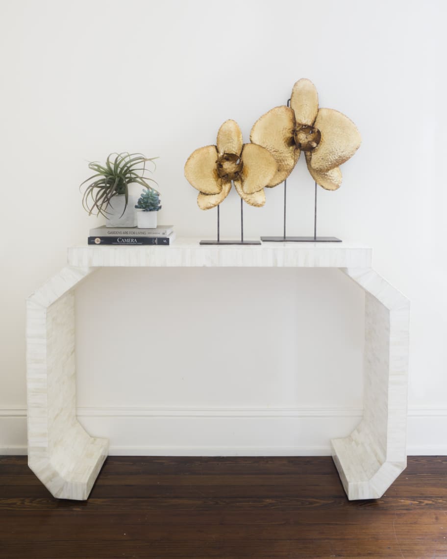 Image 1 of 1: Cadyna Natural Bone Console Table with Faceted Legs