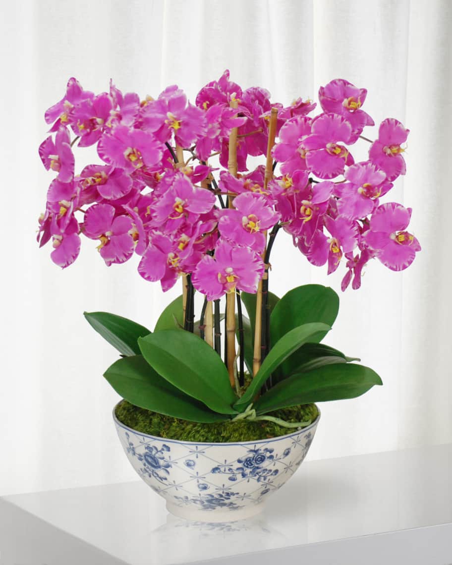 Winward Home Orchid in Rose Trellis Bowl | Horchow