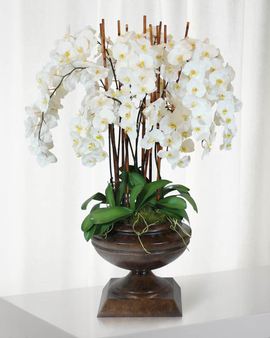 Image 1 of 1: White Orchid in Brown Classico Urn