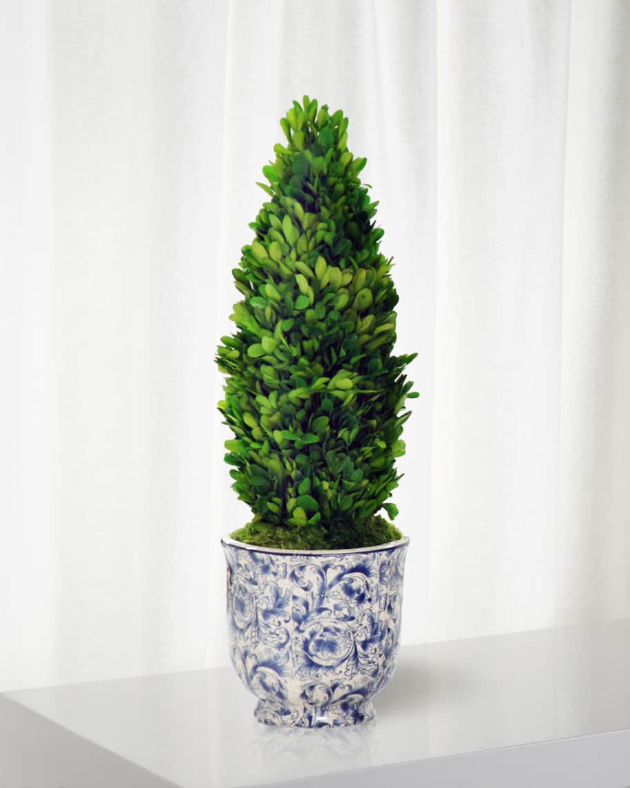 Image 1 of 1: Boxwood Cone Topiary in Cache Pot