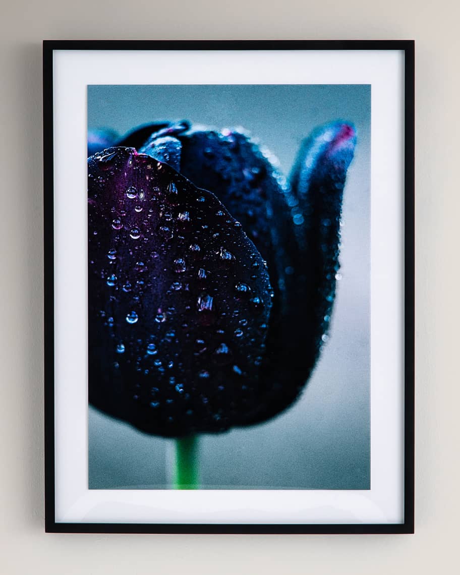 Image 1 of 3: "Waterdrops" Photography Print on Photo Paper