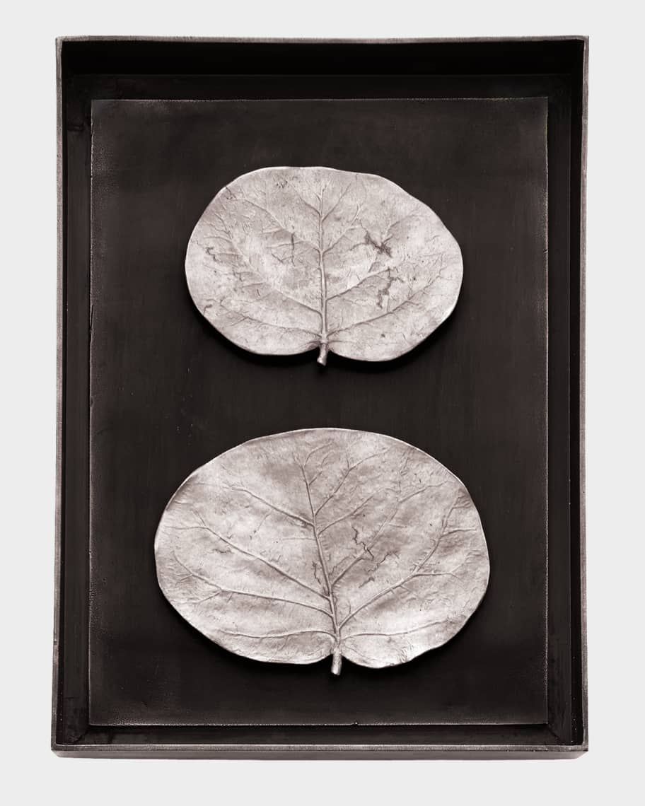 Image 1 of 1: Botanical Leaf Shadow Box