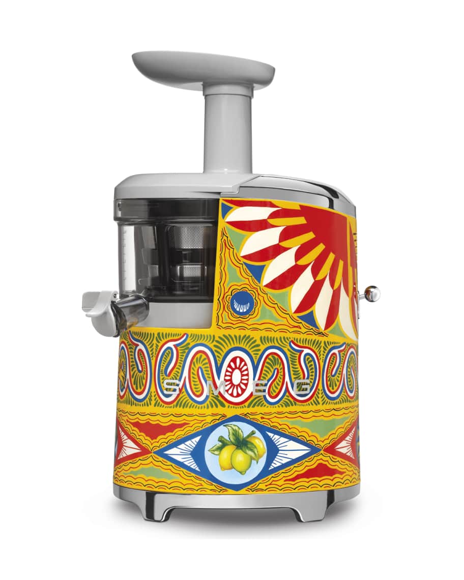 Image 2 of 2: D&G x SMEG Hand-Painted Slow Juicer