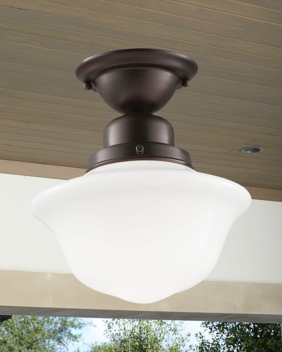 Image 1 of 1: Edison Collection Ceiling Fixture