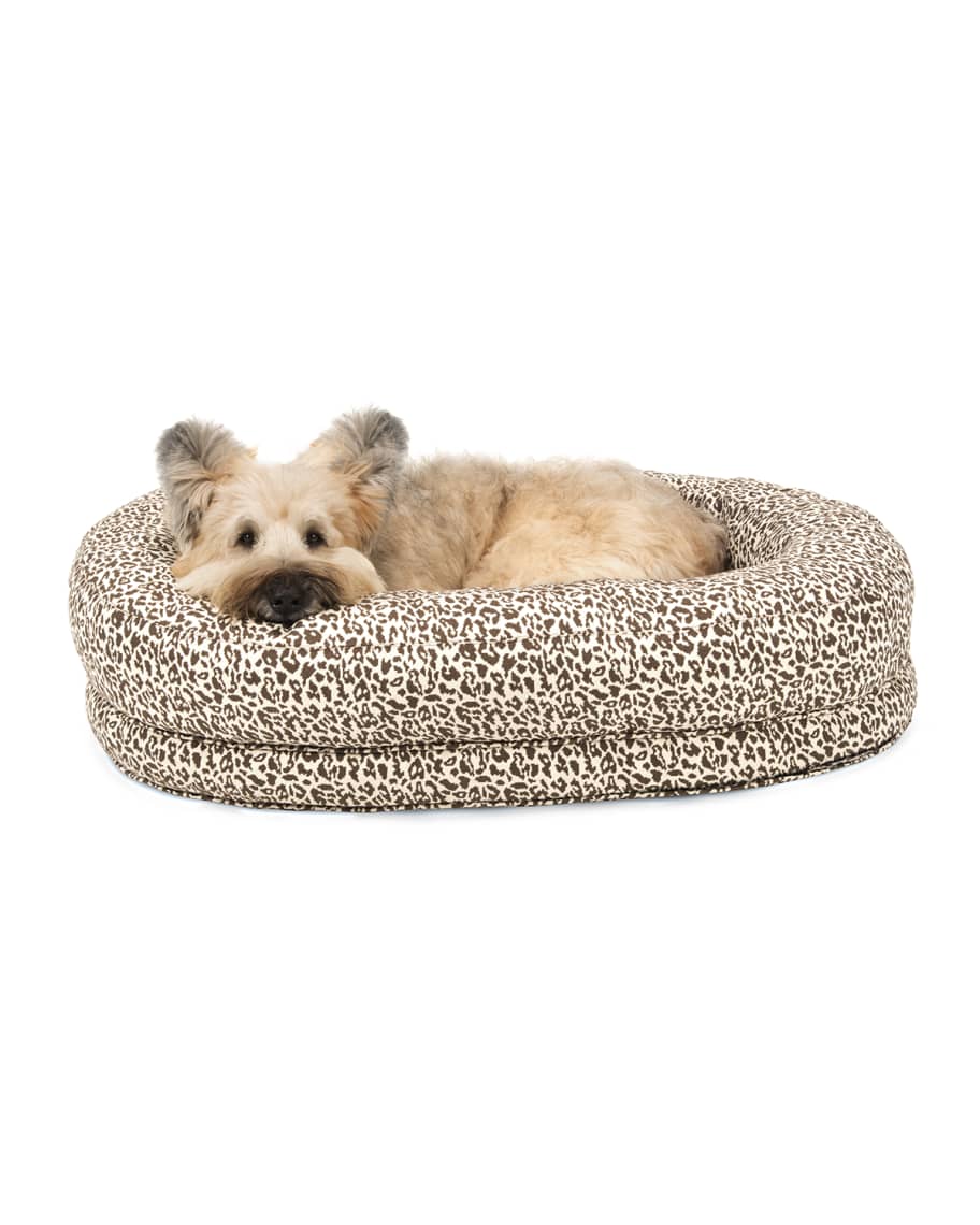 Harry barker bed online
