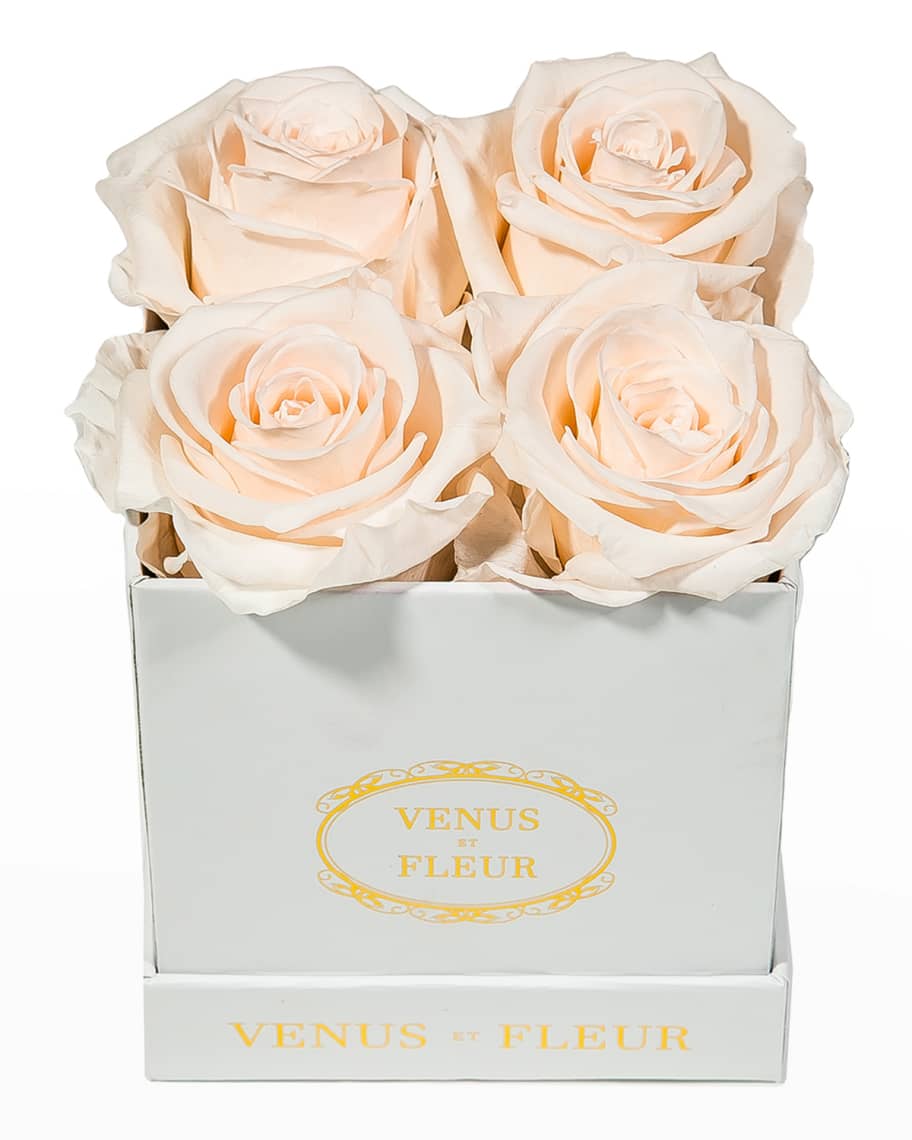 Venus ET Fleur Classic Petite Square Rose Box