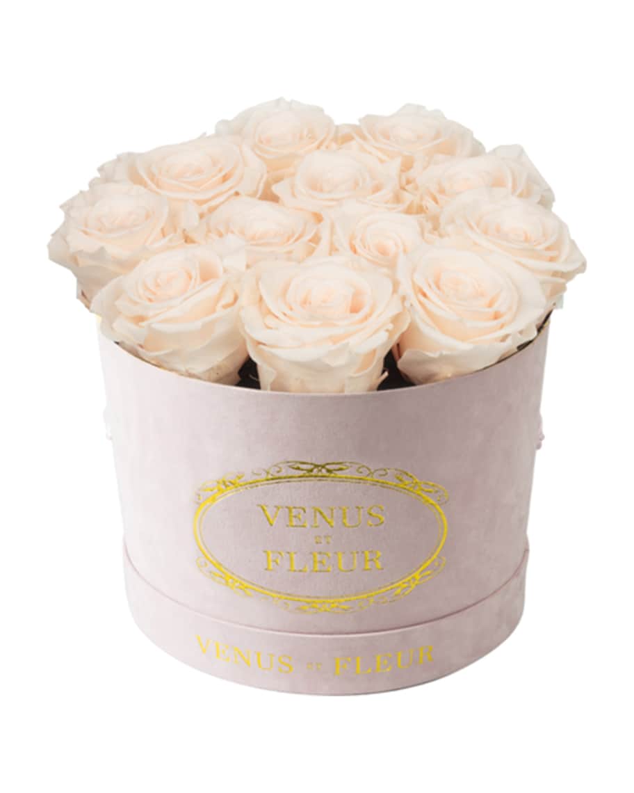 Venus ET Fleur Suede Small Round Rose Box Horchow
