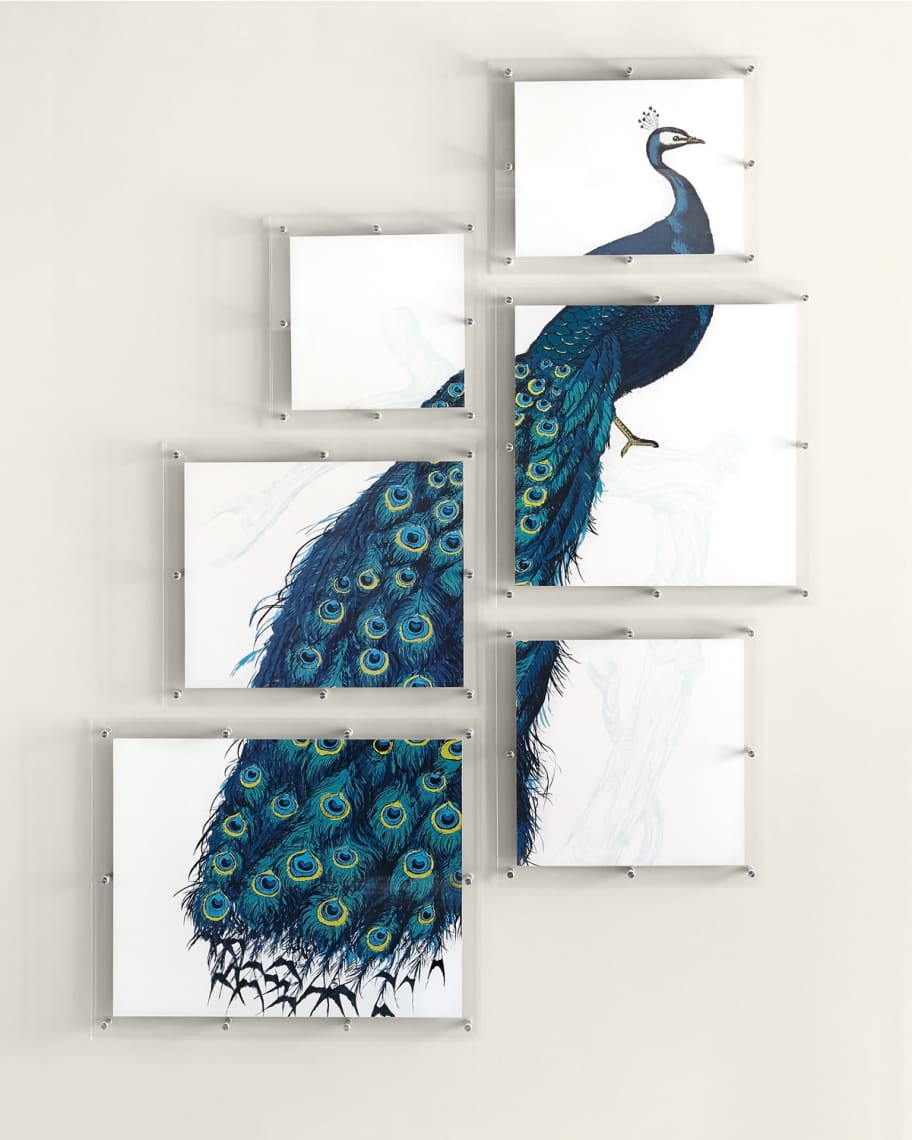 Image 1 of 2: 6-Panel Peacock Wall Art