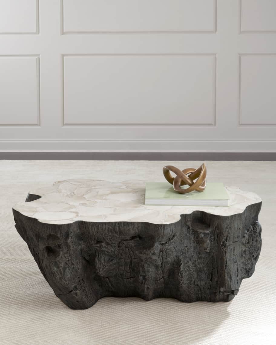 MEBEL CLAMBOX A.FLETCHER MOMA 上下2セット Palecek Ursula Fossilized Clam Coffee Table | Horchow