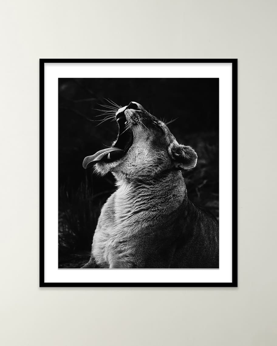 Image 1 of 2: "Safari Lion II" Photo by Isabella Juskova