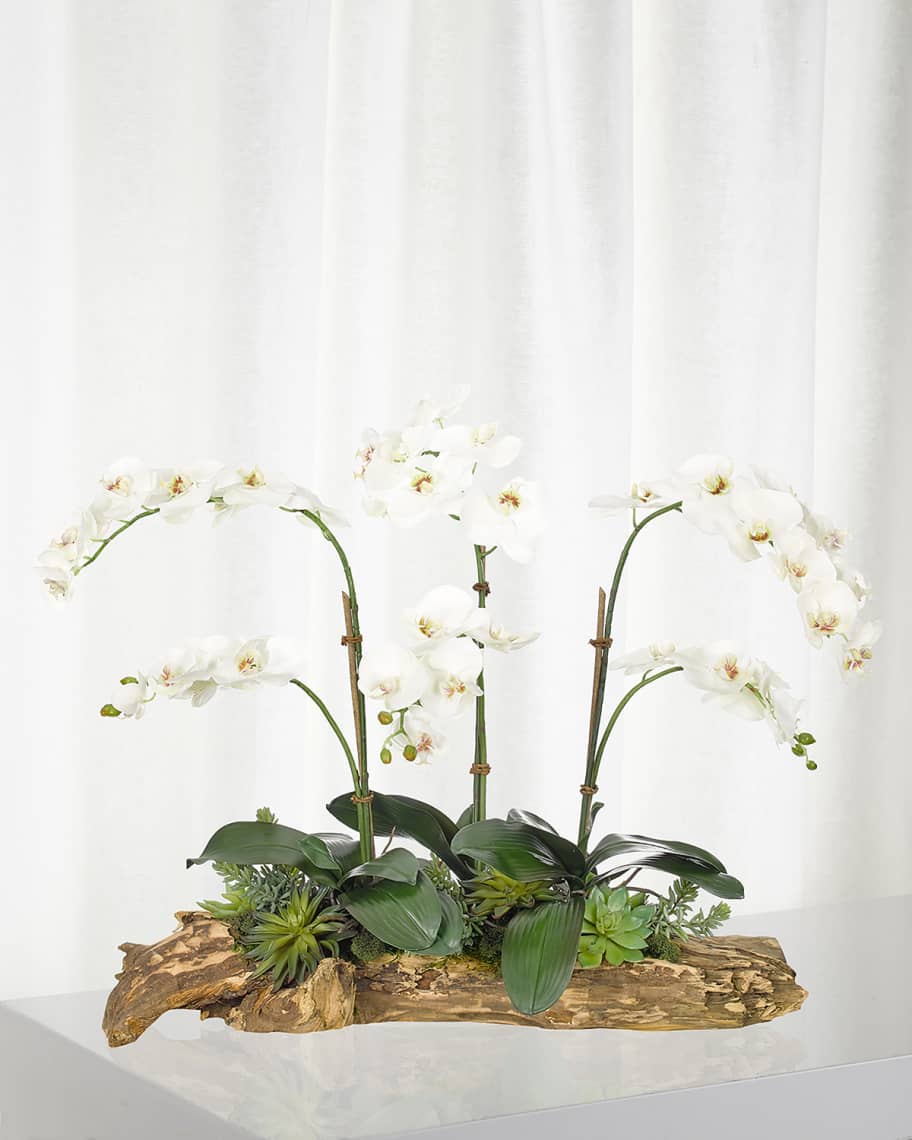 Image 1 of 1: White Orchid Succulent in Wood Planter