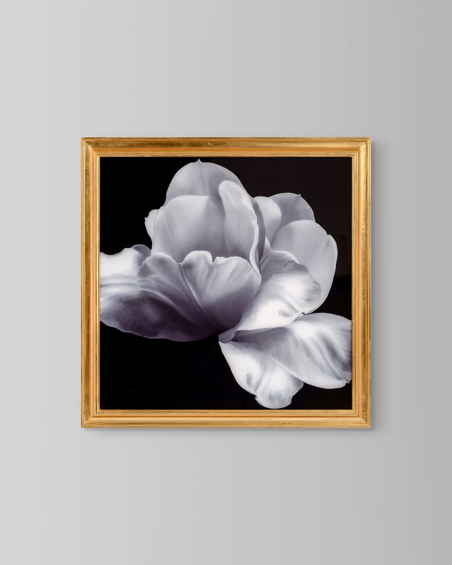 Image 1 of 1: "Shirokuro" Wall Art by Mark McDowell