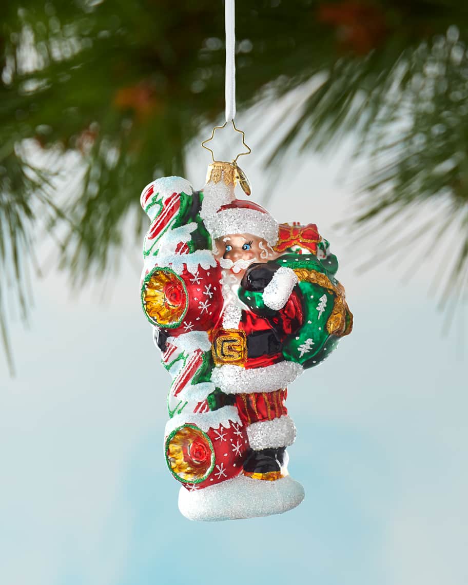 Christopher radko ornaments 2020 discount