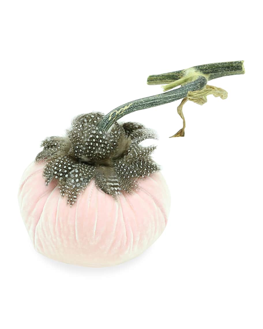 Image 1 of 1: 5" Velvet Pumpkin with Natural Stem & Feathers