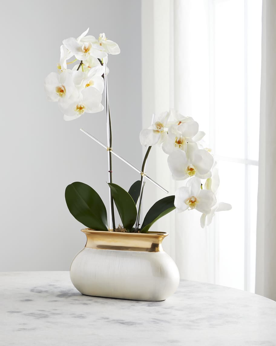 Image 1 of 3: Pearlie Orchids Arrangement