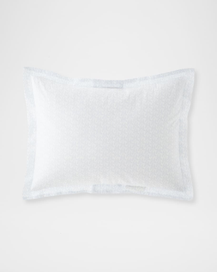 Image 1 of 1: Ramra Organic Standard Sham