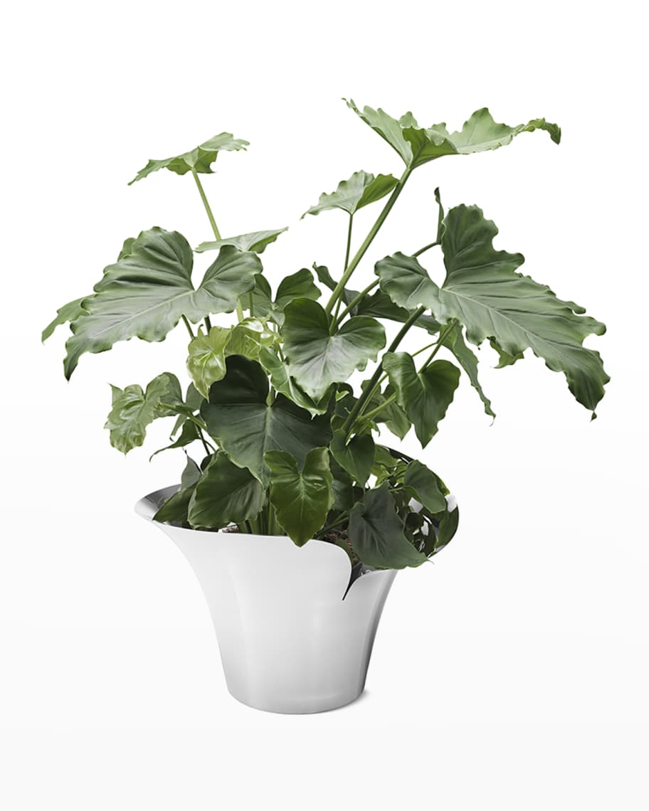 Image 2 of 3: Bloom Botanica Large Stainless Steel Flower Pot