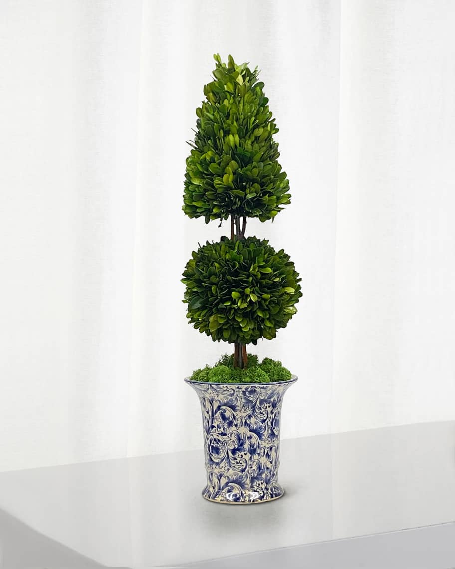 Image 1 of 1: Preserved Coneball Boxwood Topiary In Porcelain Vase - 24"